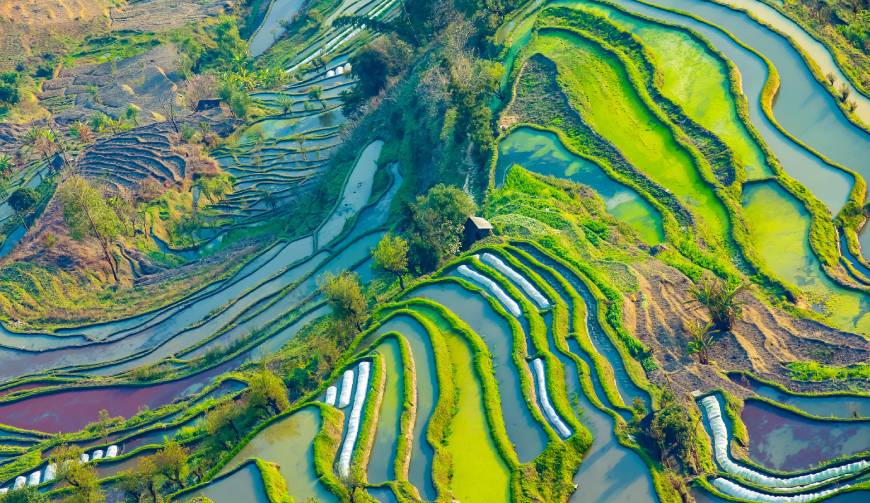 宝妈必备神器：廉江市产品视频拍摄轻松育儿好帮手