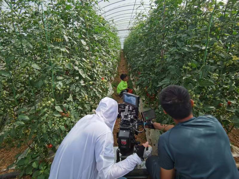 廉江市产品宣传视频拍摄公司进阶指南，助力品牌抢占传播高地